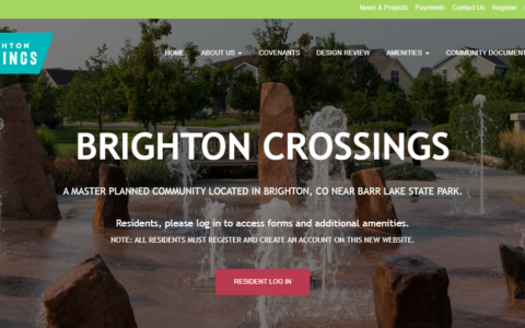 brighton-crossings